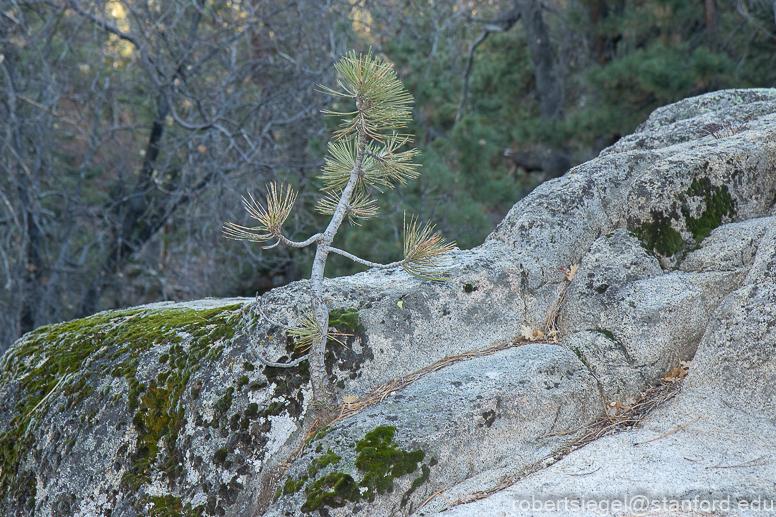 Castle Rock Trail